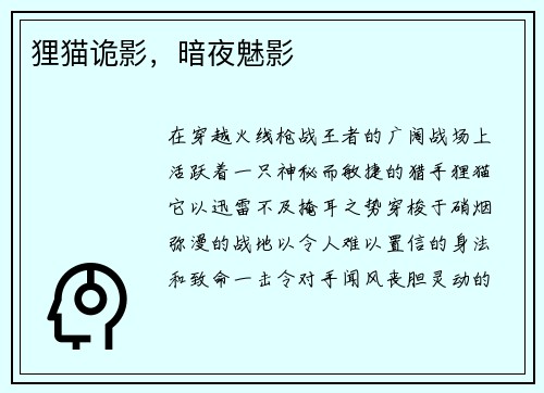 狸猫诡影，暗夜魅影